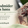 Blodmider hos høns – tegn, behandling og bekæmpelse